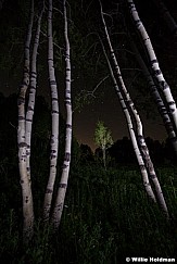 Night Aspen Stars 070111 35