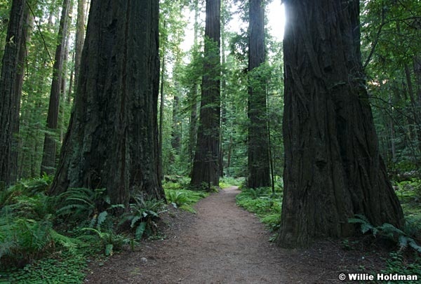 hwy1061807 707