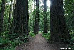hwy1061807 707