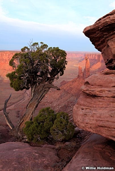 Zeus Moses Butte 032613