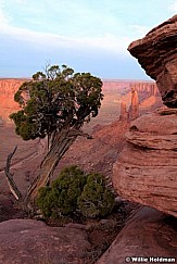 Zeus Moses Butte 032613