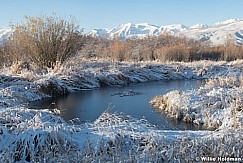 Ice Snow River Bottoms 111022 6745