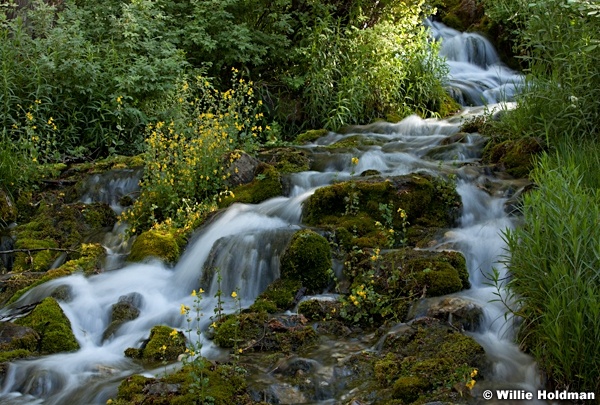 AmericanFork waterfall 063012 87