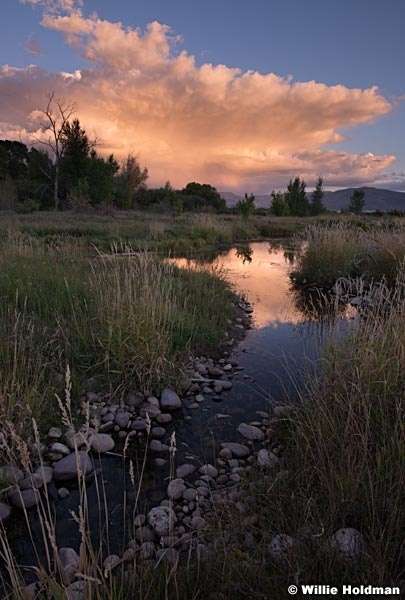 Pinnk Cloud Pond 09 22 13 4043