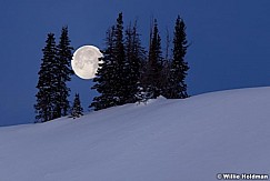 Aspensunmeadow012111 19