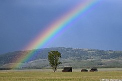 Rainbow Barns 2
