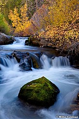 Bigcottonwoodstream102010
