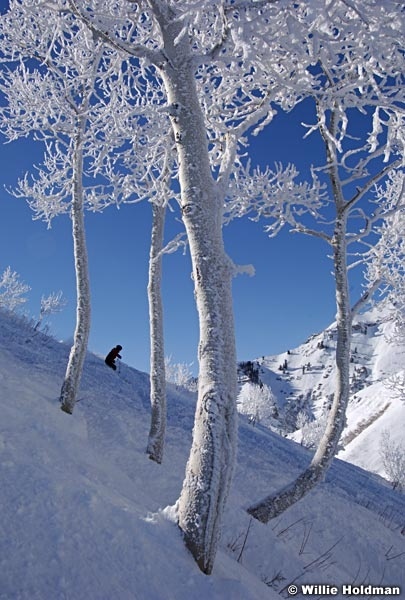 12180630SKI