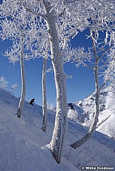 12180630SKI