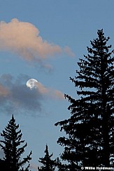 Fullmoon091211 129
