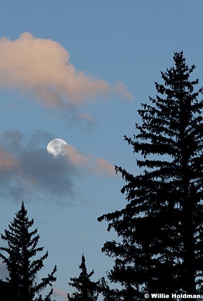 Fullmoon091211 129