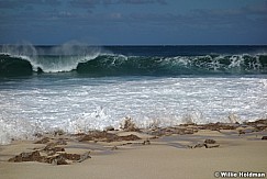 Oahu Wave 020113 2101