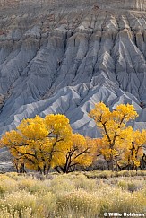 Cainville Badlands 110125 2606 4