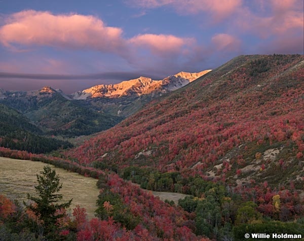 South Fork Pink Clouds 100119 6x7