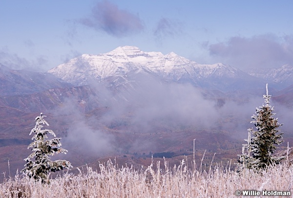 Timpanogos Frost 100513 8444