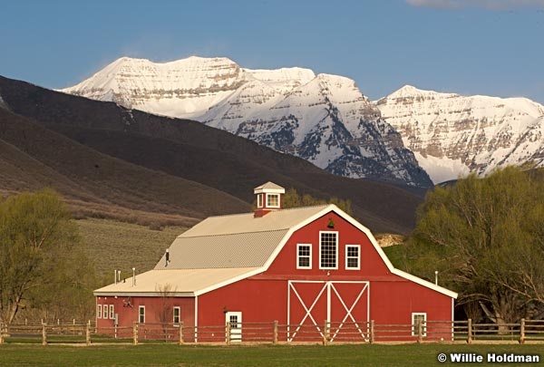 redbarntimp042809 23549