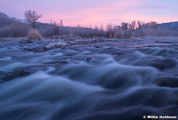 Provo River Frost 121119 8454 7