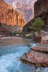 Havasu River Grand Canyon 041723 3875