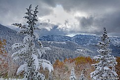 Bigcottonwooodautumnsnow100811 78