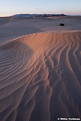 Sahara Sand Dunes 082618 7715 2