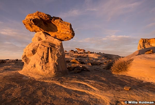 Rim Rocks Sandstone 020215 7492