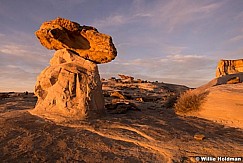 Rim Rocks Sandstone 020215 7492