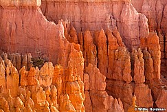 Bryce Canyon hoodoos 032012 64