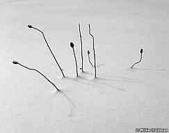 158010005507BW