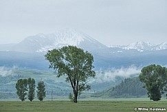 Grand Teton River Rock 061620 6680 2