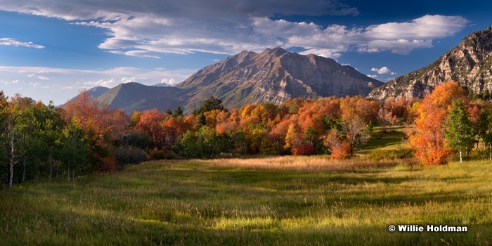 Cascade Meadow Autumn 091914