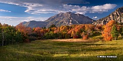 Cascade Meadow Autumn 091914
