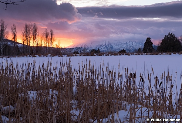 Timpanogos Cattails Sunset 122118 0446 5 2