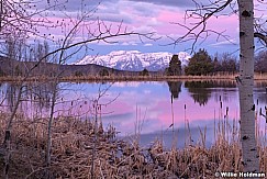 Reflection Pond Timpanogos 042820 0337