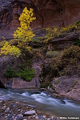 Zion Narrows 110613 0278