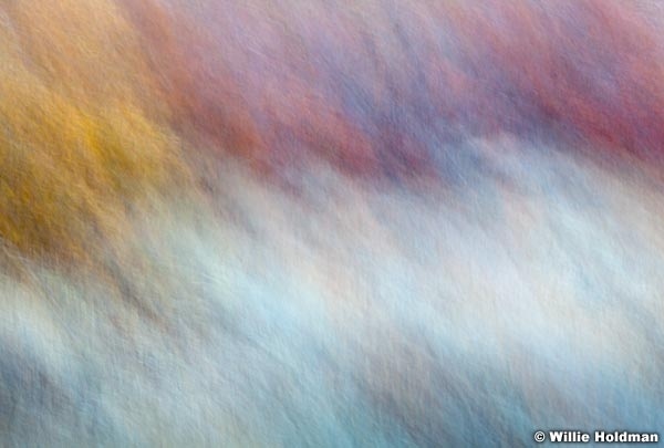 Abstractimpressions101510 5182