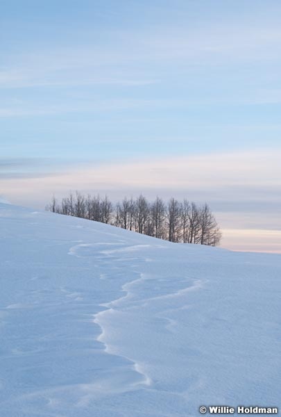 pastelwinter 013010 1205