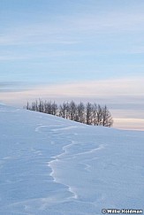 pastelwinter 013010 1205