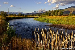 D1005timpprovoriverheber