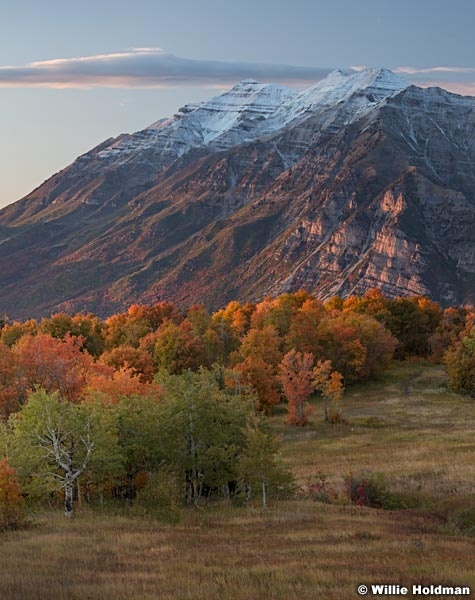 Autumn Colors Timp 100117 71316x7