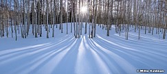 Aspen Winter Shadows