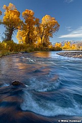 Provo River Cottonwoods 101512 358