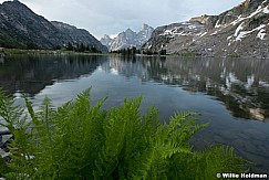 Teton Ferns Lake Solitude 072323 9602