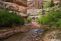 Pleasant Creek Springt 043026 5828