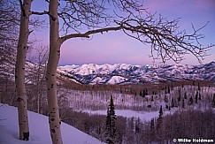 Preglow Wasatch Mountains 012116 0239