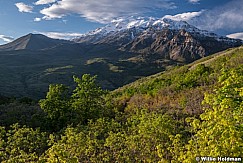 Timpanogos Spring Greens Snow 051218 0743