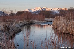 Marsh Timpanogos Reflection 031313 1824