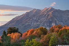 Timpanogos Autumn Color 091926 7659