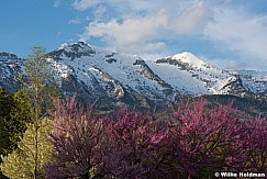 Lone Peak Mountains 042416 1752