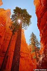 Bryce Wallstreet 052012 2