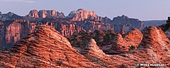 Zion Pano Lees Valley 24x60